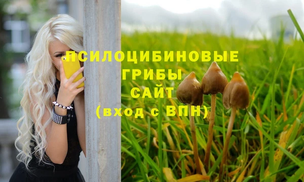 ГАЛЛЮЦИНОГЕННЫЕ ГРИБЫ Баксан