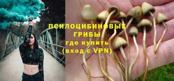 ГАЛЛЮЦИНОГЕННЫЕ ГРИБЫ Баксан